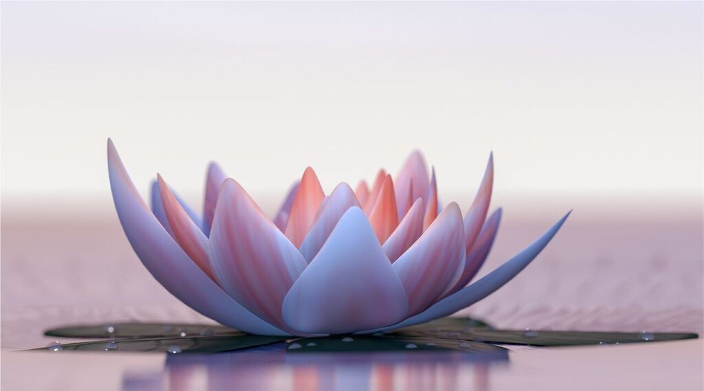 The lotus flower represents the post-traumatic growth that you can experience after child sexual abuse.