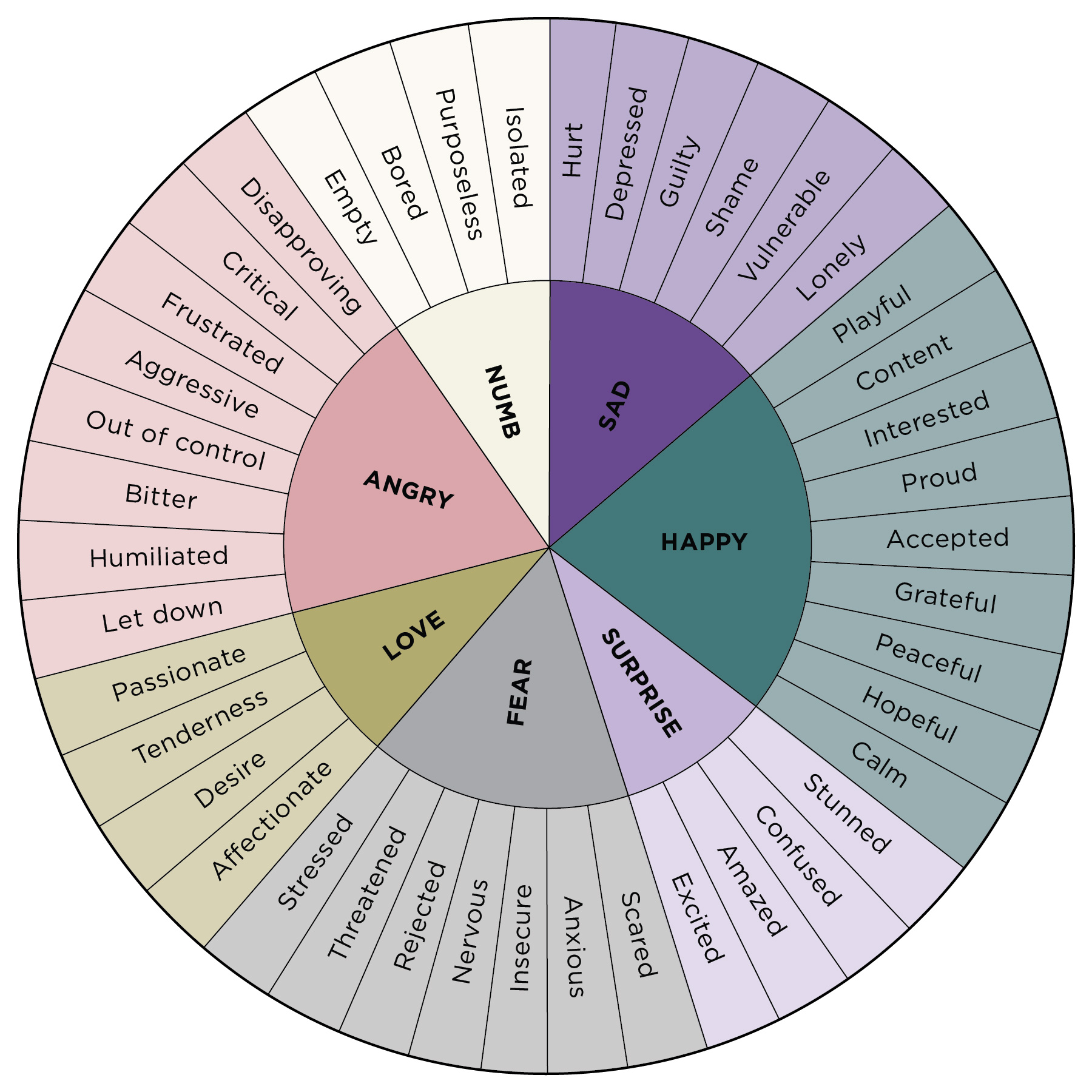 my emotions wheel